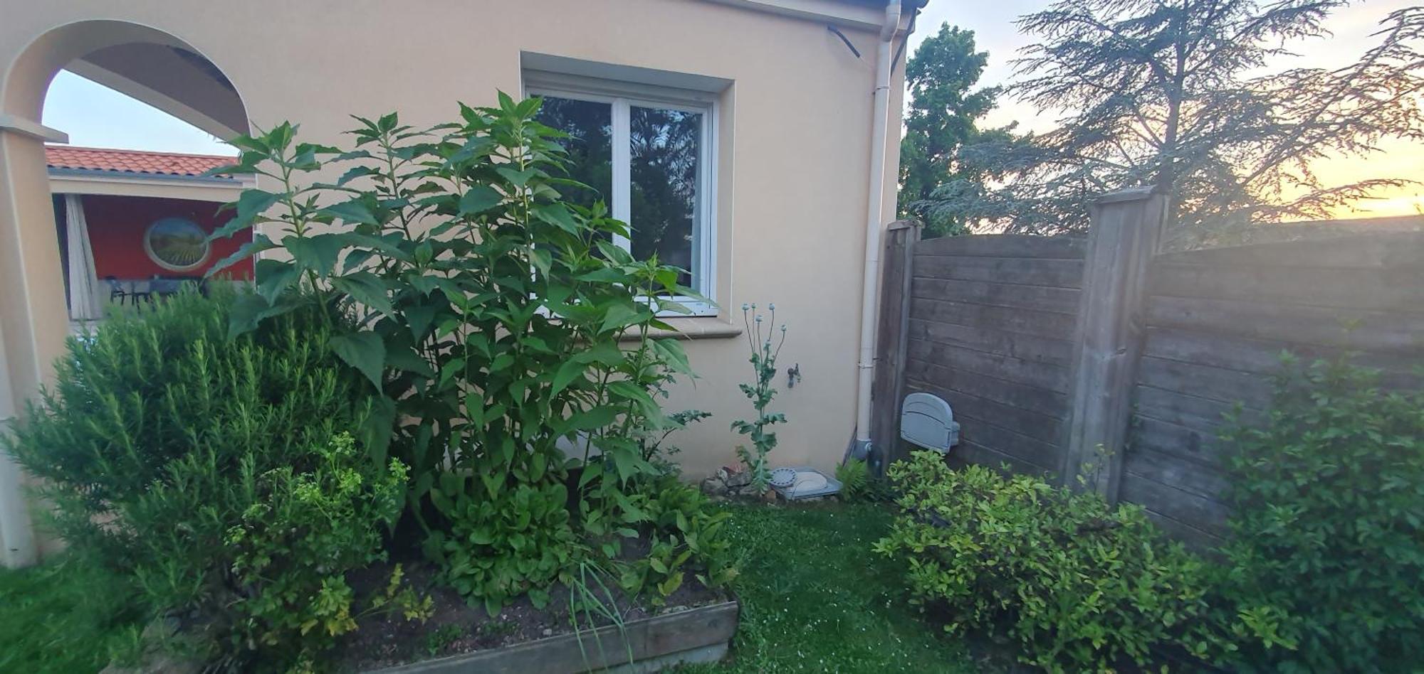 Gite Calme #2 Ou 3 Pers #Piscine #Cholet #Wifi Haut Debit #Travailleurs Thales Lacroix Et Autres Entreprises #Petits Dejeuners Et Repas Possibles Sur Demande Le May-sur-Evre Εξωτερικό φωτογραφία